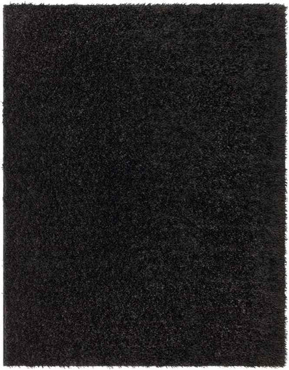 Charon Modern Black Area Rug