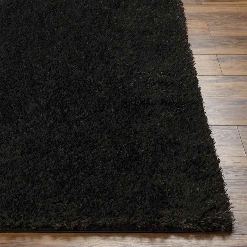 Charon Modern Black Area Rug