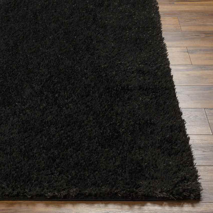 Charon Modern Black Area Rug