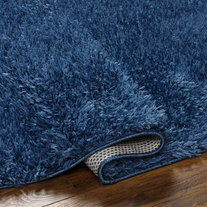 Charon Modern Dark Blue Area Rug