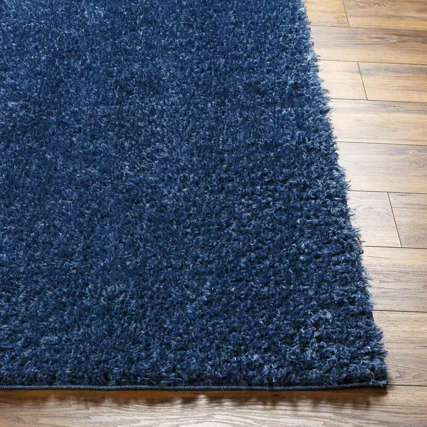 Charon Modern Dark Blue Area Rug