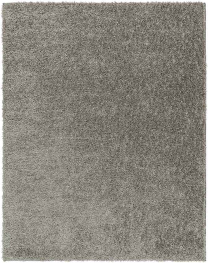 Charon Modern Dark Brown Area Rug