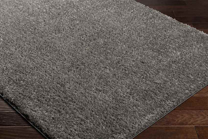 Charon Modern Dark Brown Area Rug