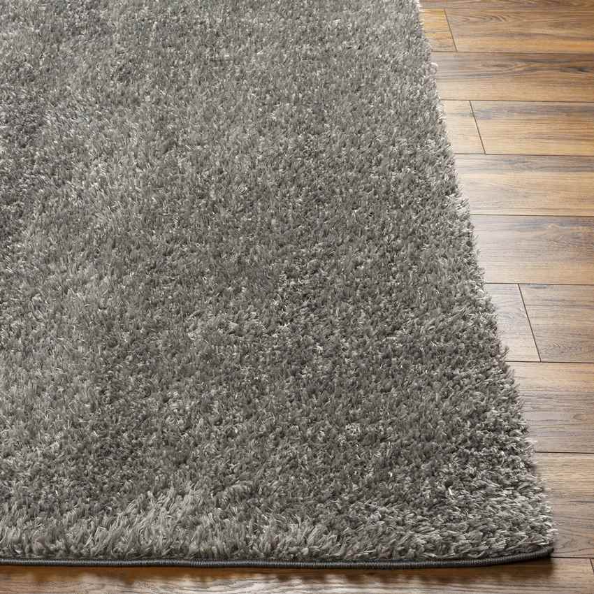 Charon Modern Dark Brown Area Rug