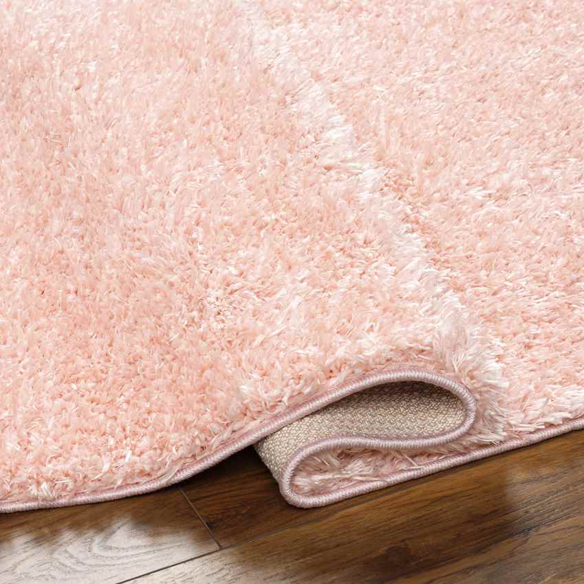 Charon Modern Coral Area Rug