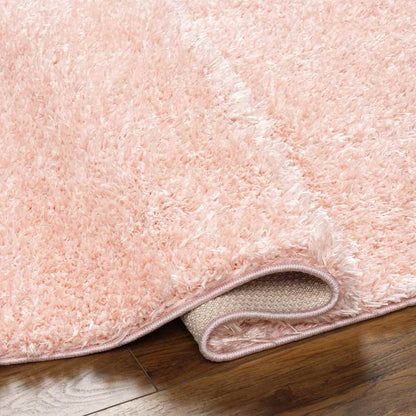 Charon Modern Coral Area Rug