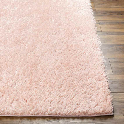 Charon Modern Coral Area Rug