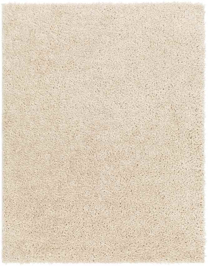 Charon Modern Beige Area Rug