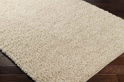 Charon Modern Beige Area Rug