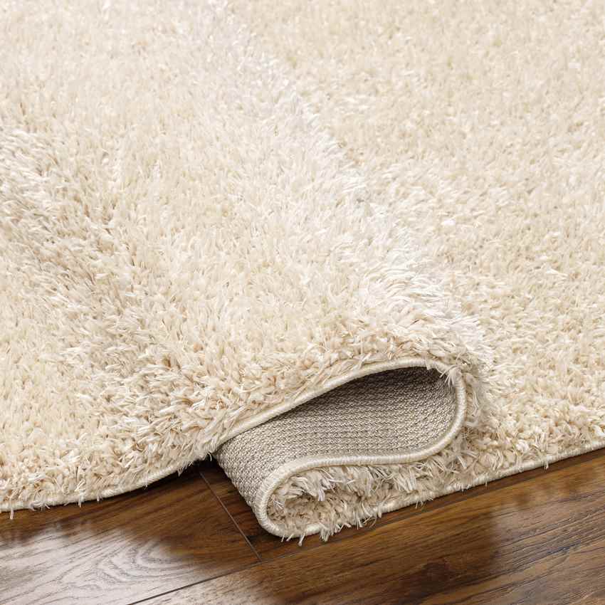 Charon Modern Beige Area Rug