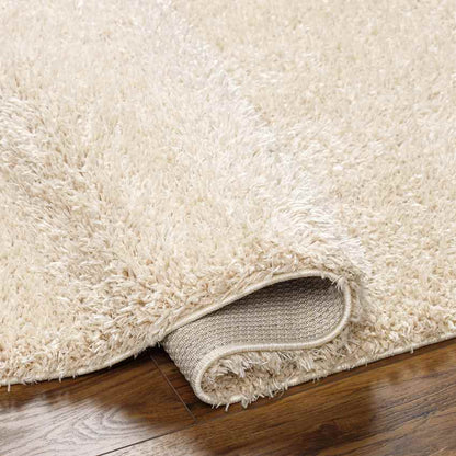 Charon Modern Beige Area Rug