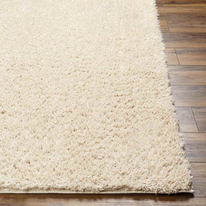 Charon Modern Beige Area Rug