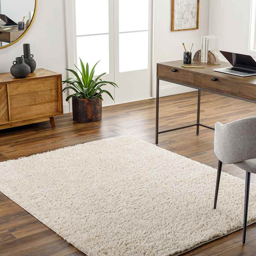Charon Modern Beige Area Rug