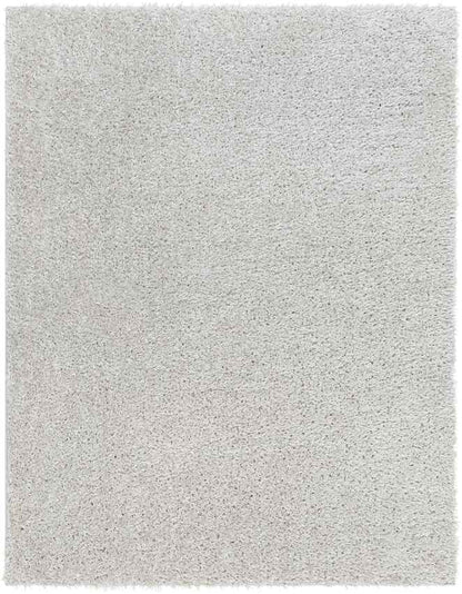 Charon Modern Silver Gray Area Rug
