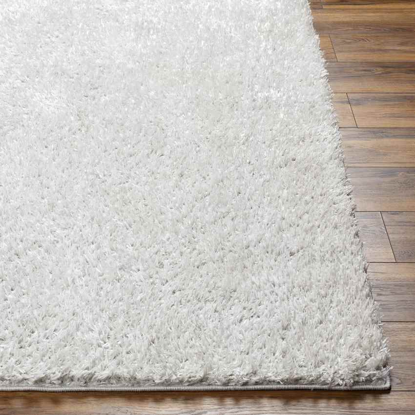 Charon Modern Silver Gray Area Rug