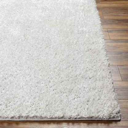 Charon Modern Silver Gray Area Rug