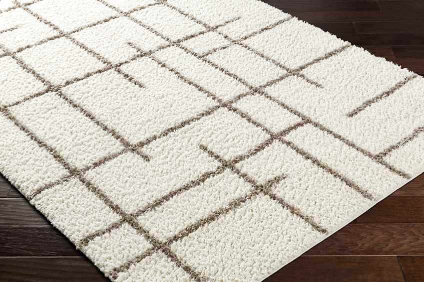 Lyndy Modern Beige/Dark Brown Area Rug