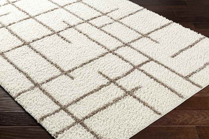 Lyndy Modern Beige/Dark Brown Area Rug