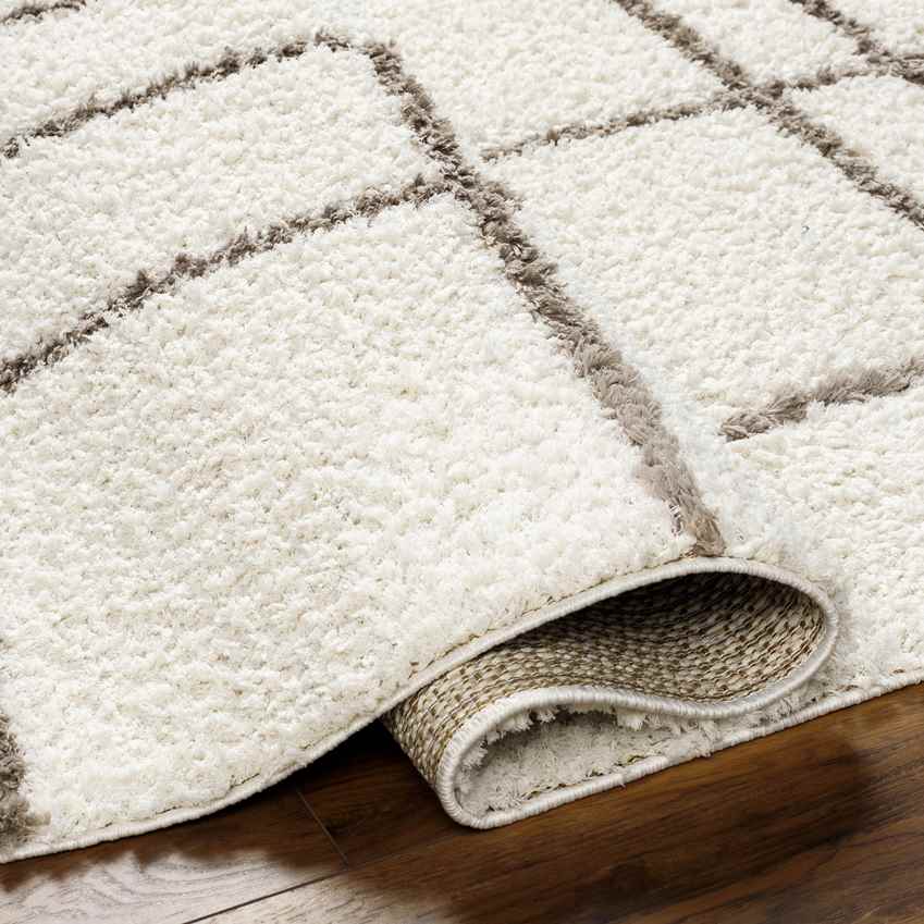 Lyndy Modern Beige/Dark Brown Area Rug