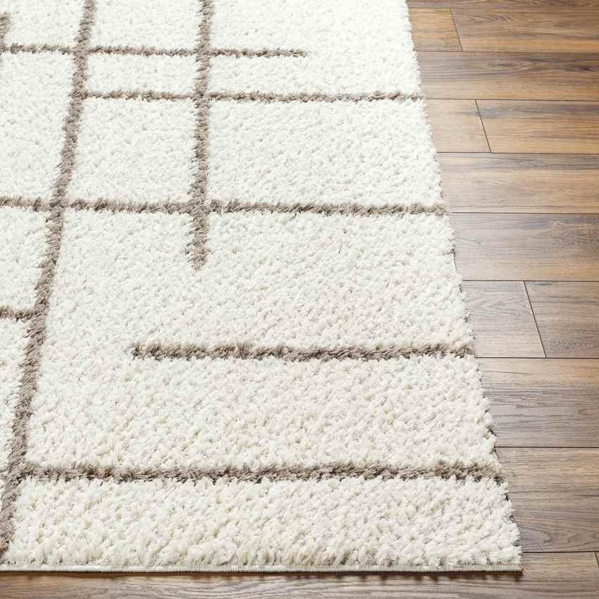 Lyndy Modern Beige/Dark Brown Area Rug