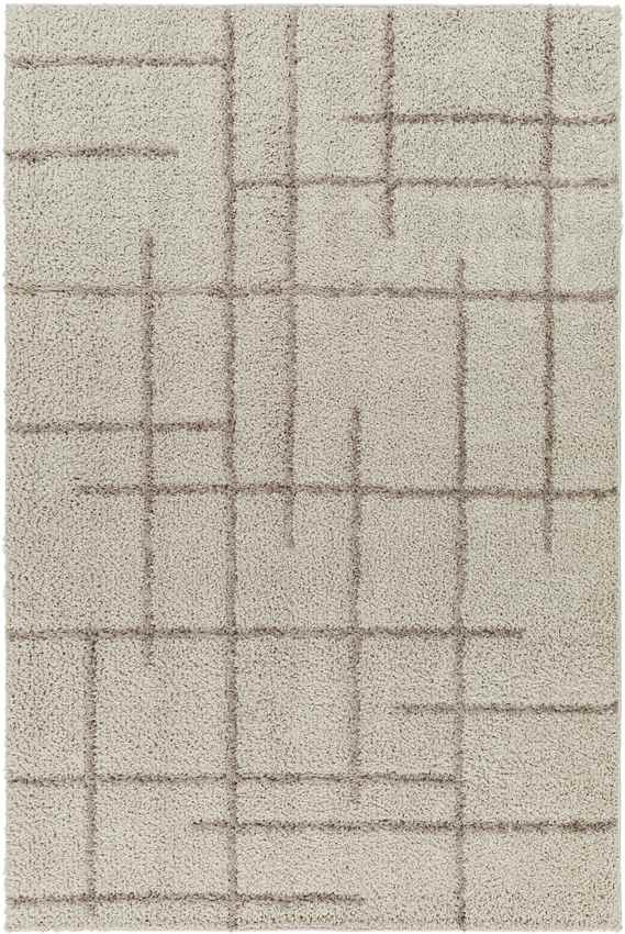Lyndy Modern Light Brown Area Rug