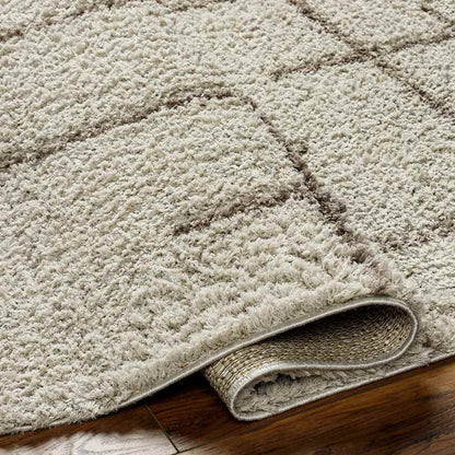 Lyndy Modern Light Brown Area Rug