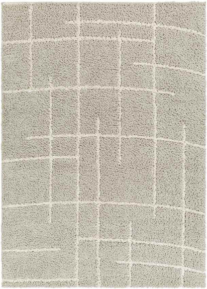 Lyndy Modern Beige Area Rug