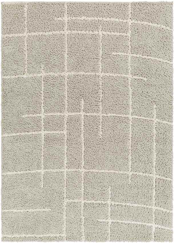 Lyndy Modern Beige Area Rug