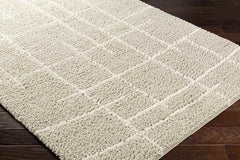 Lyndy Modern Beige Area Rug