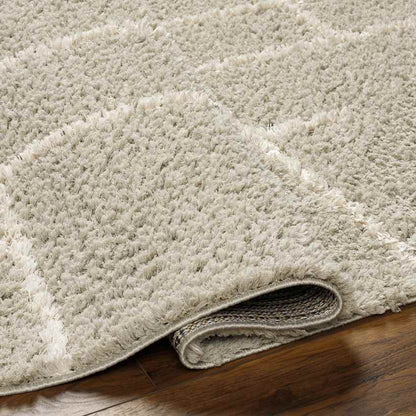 Lyndy Modern Beige Area Rug