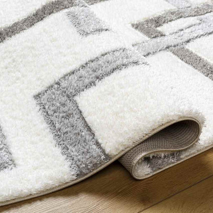 Ikisha Modern Cream/Light Gray Area Rug