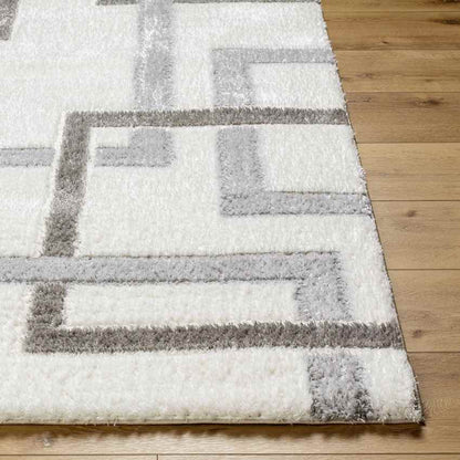 Ikisha Modern Cream/Light Gray Area Rug