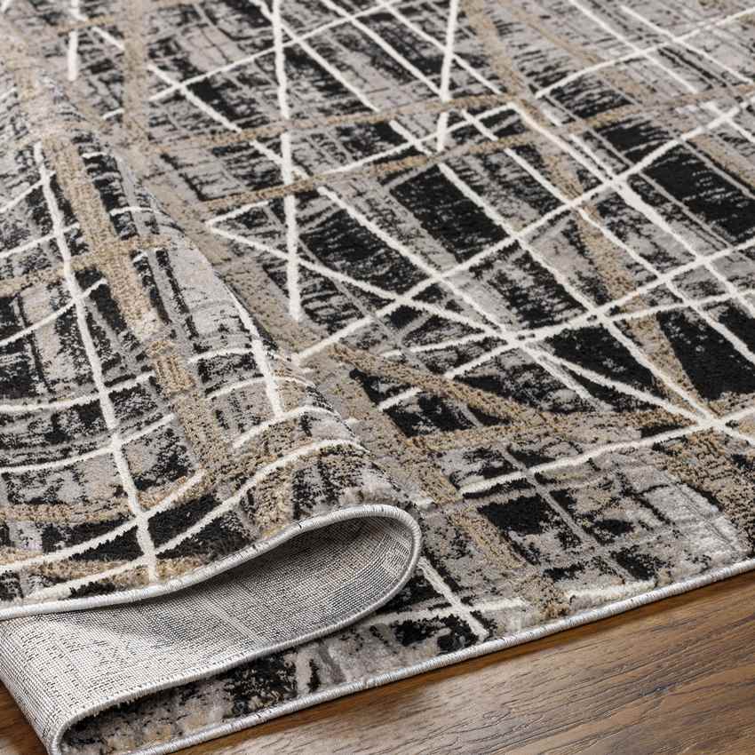 Terelle Modern Black Area Rug