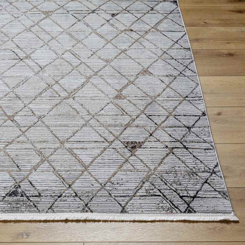 Glynis Modern Brown/Light Gray Area Rug