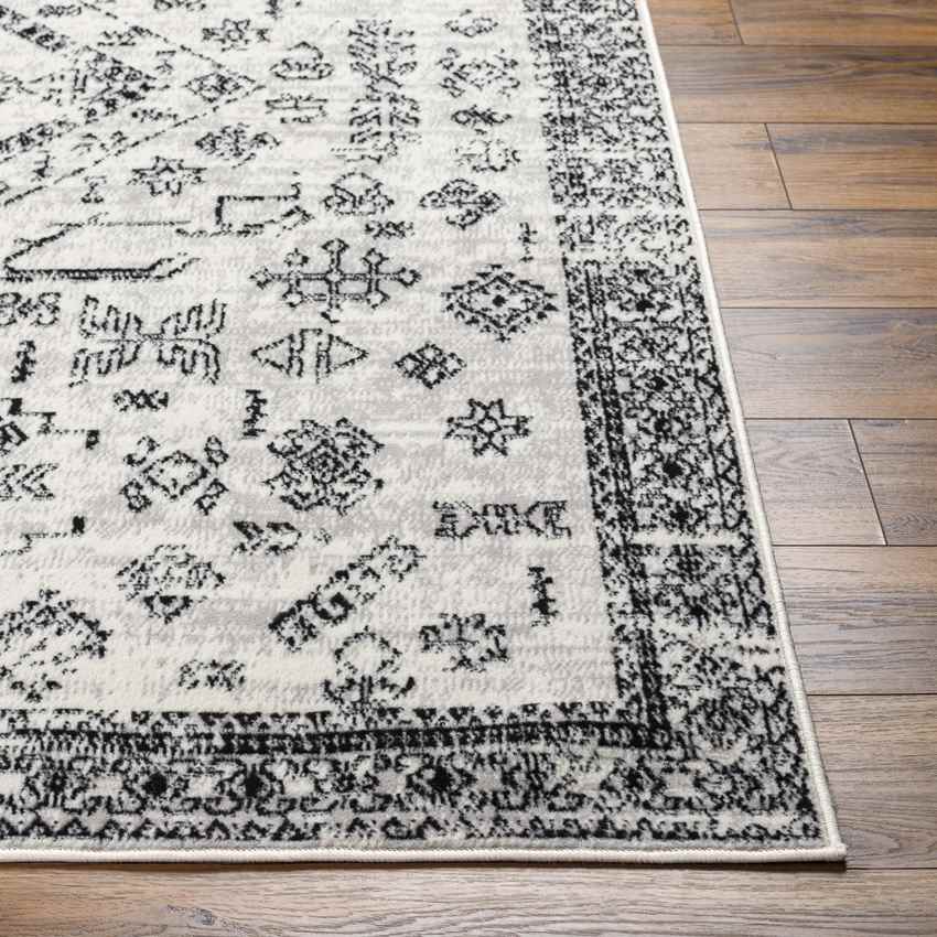Tiffiny Traditional Black Area Rug