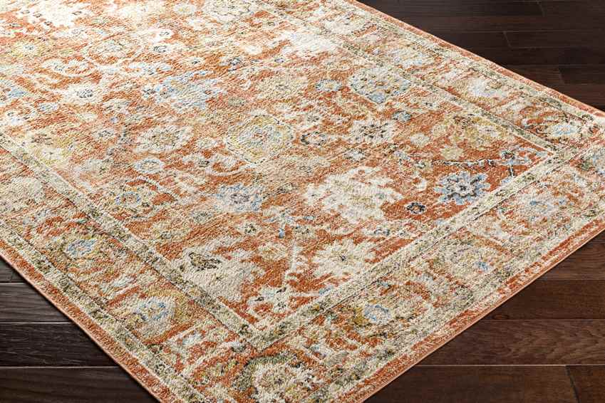 Rosangela Traditional Burnt Orange Area Rug