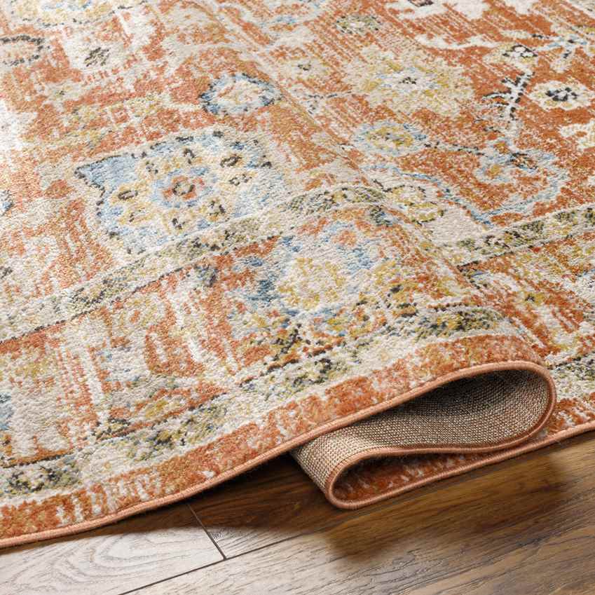 Rosangela Traditional Burnt Orange Area Rug