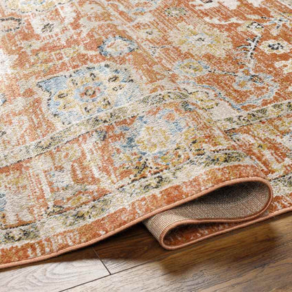 Rosangela Traditional Burnt Orange Area Rug