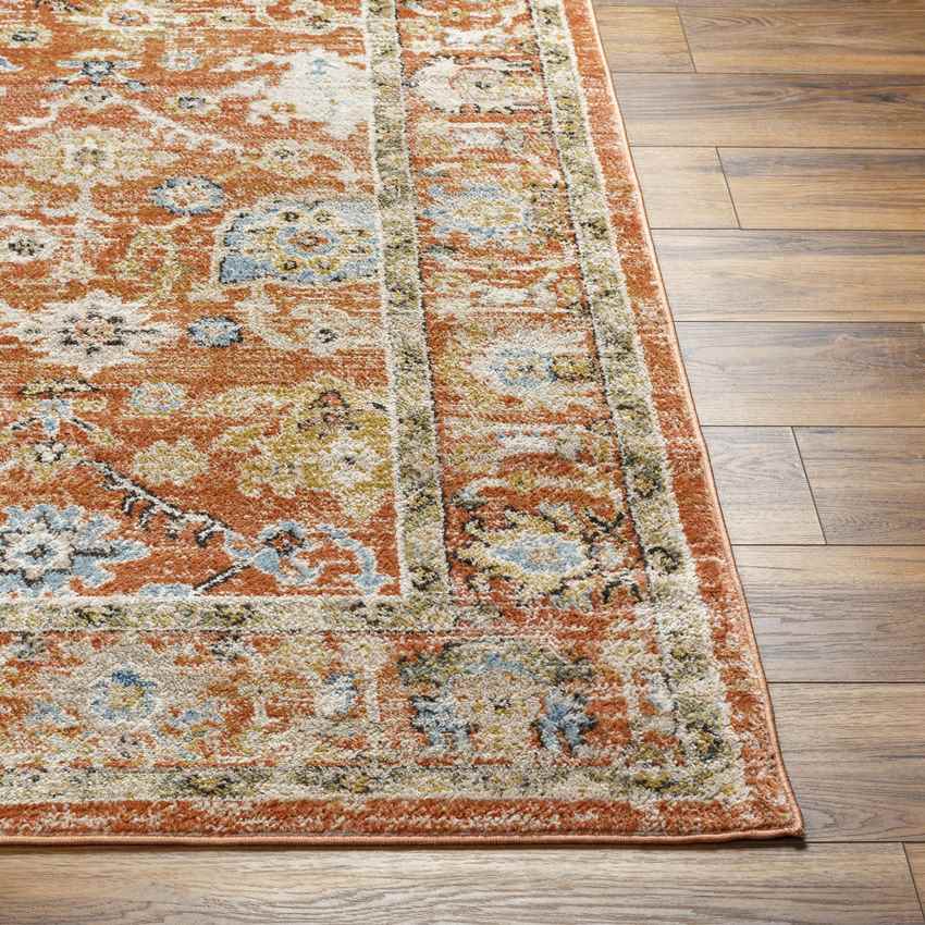 Rosangela Traditional Burnt Orange Area Rug