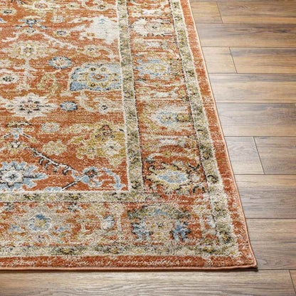 Rosangela Traditional Burnt Orange Area Rug