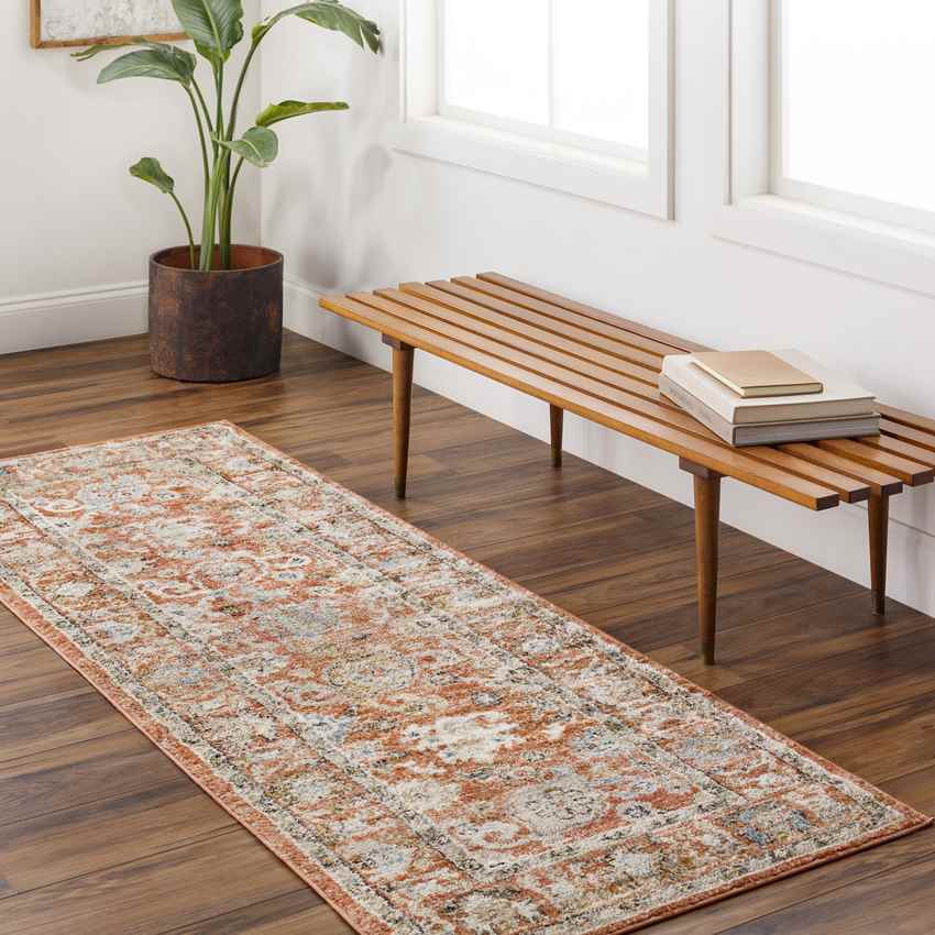 Rosangela Traditional Burnt Orange Area Rug