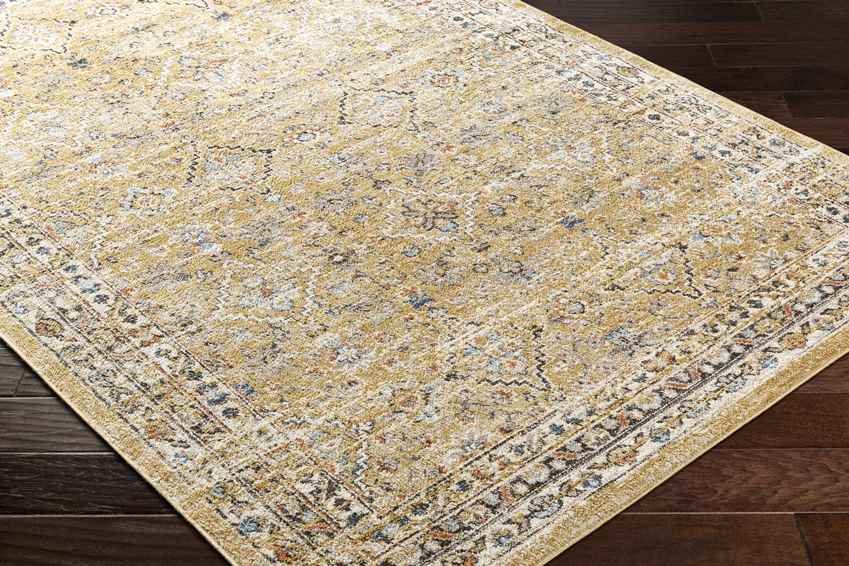 Jerime Traditional Amber Area Rug