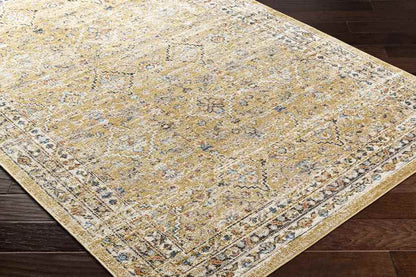 Jerime Traditional Amber Area Rug
