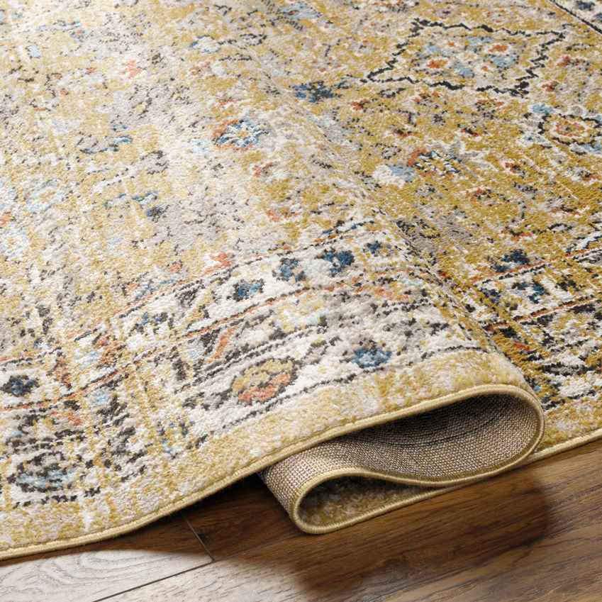 Jerime Traditional Amber Area Rug