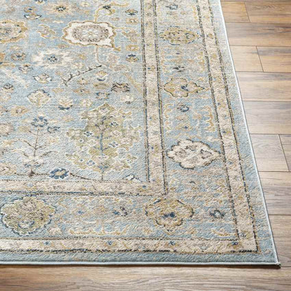 Corine Traditional Ice Blue Area Rug