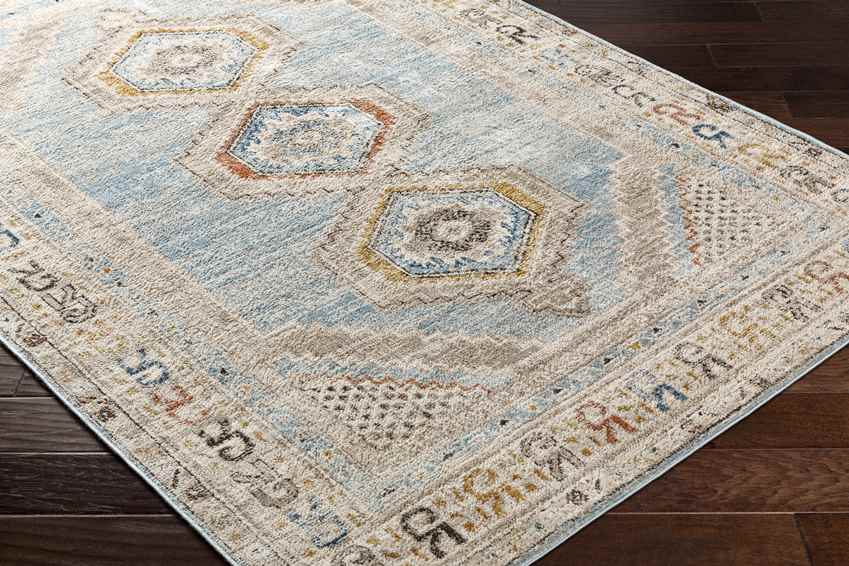 Jennefer Traditional Sky Blue Area Rug