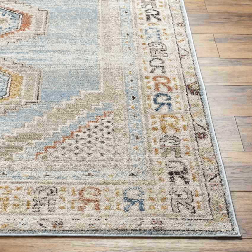 Jennefer Traditional Sky Blue Area Rug