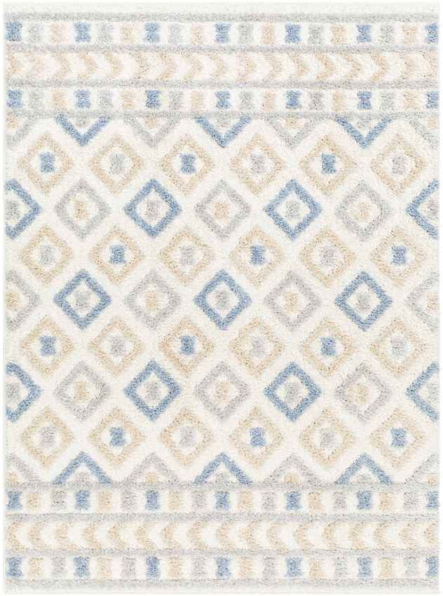 Shatora Modern Denim/Brown Area Rug