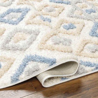 Shatora Modern Denim/Brown Area Rug