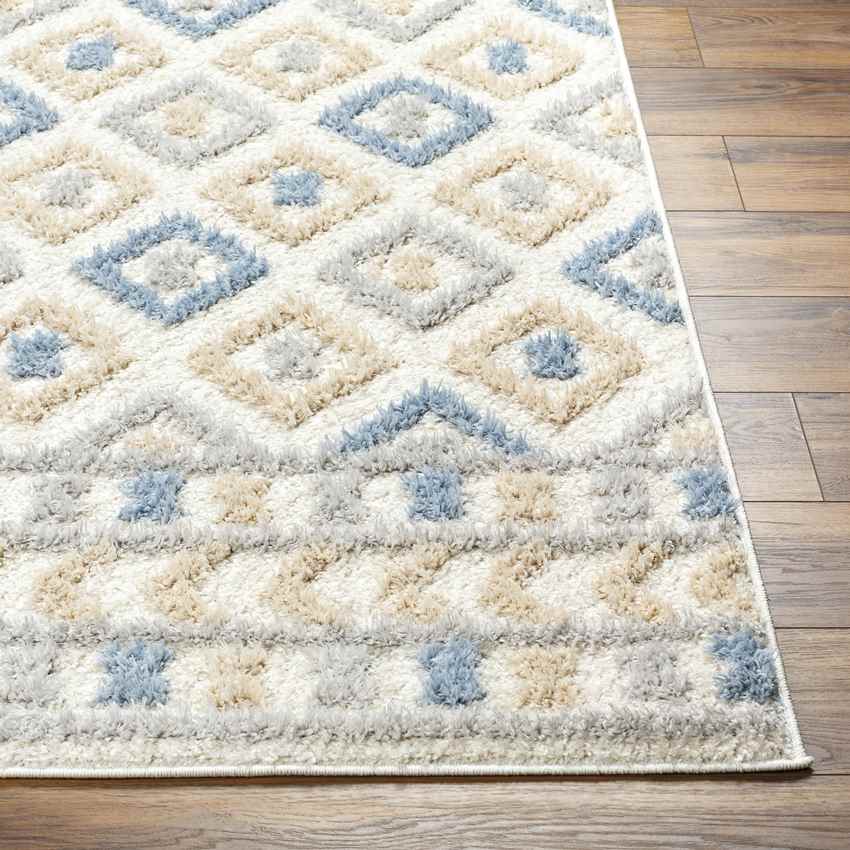 Shatora Modern Denim/Brown Area Rug